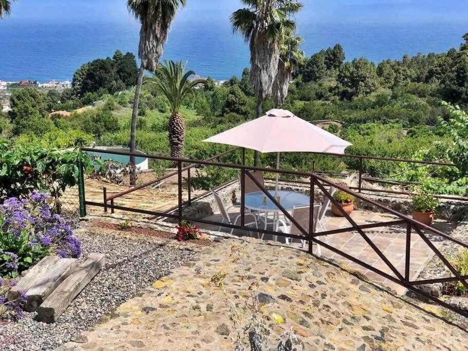 Finca Los Tamarillos 圣克鲁斯-德特内里费 外观 照片